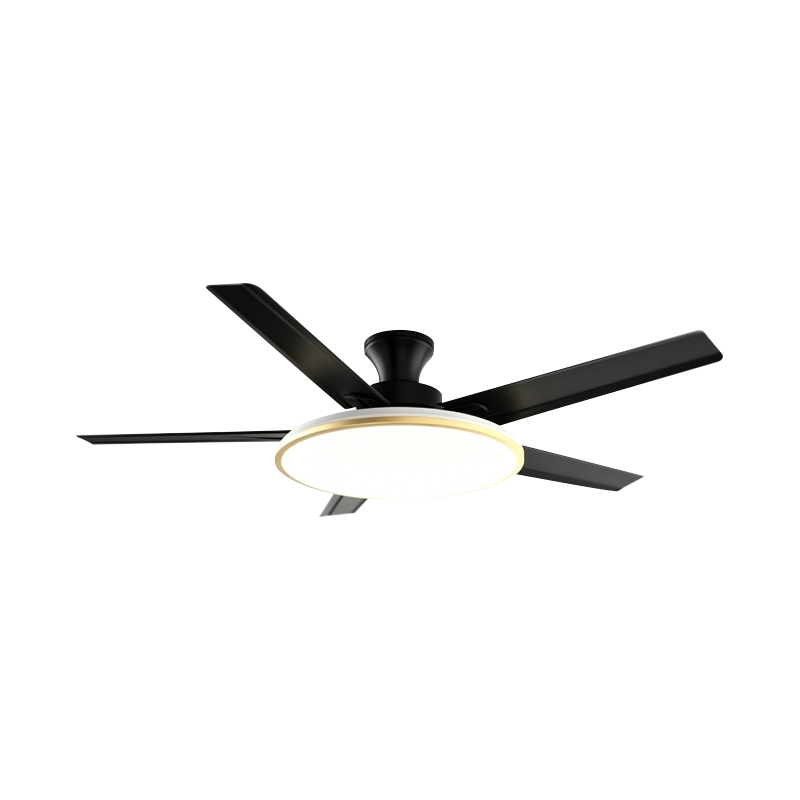 Bežná ventilátorová lampa Bežná ventilátorová lampa