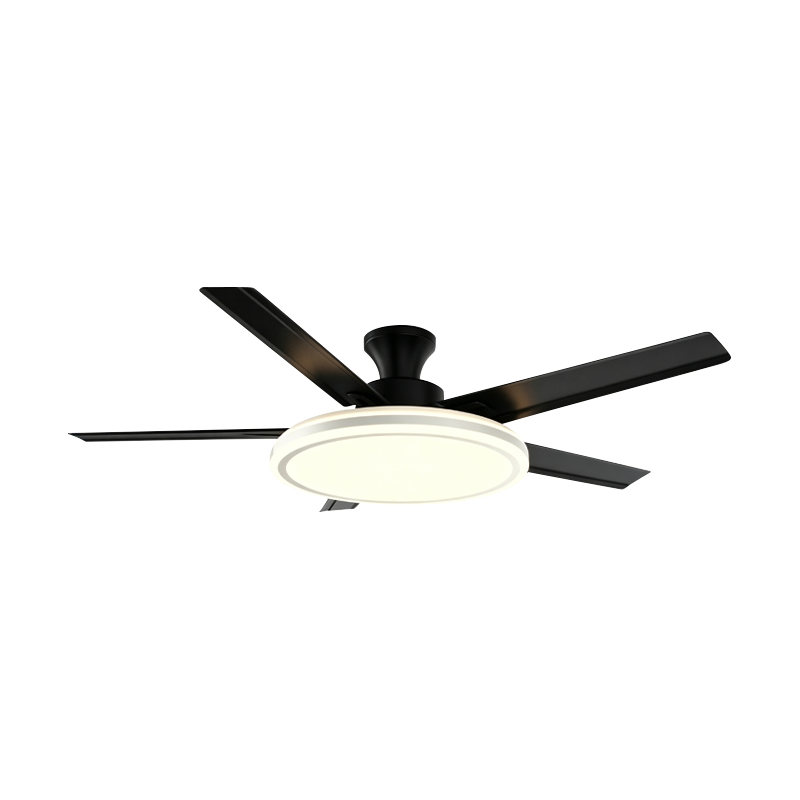 Bežná ventilátorová lampa Bežná ventilátorová lampa