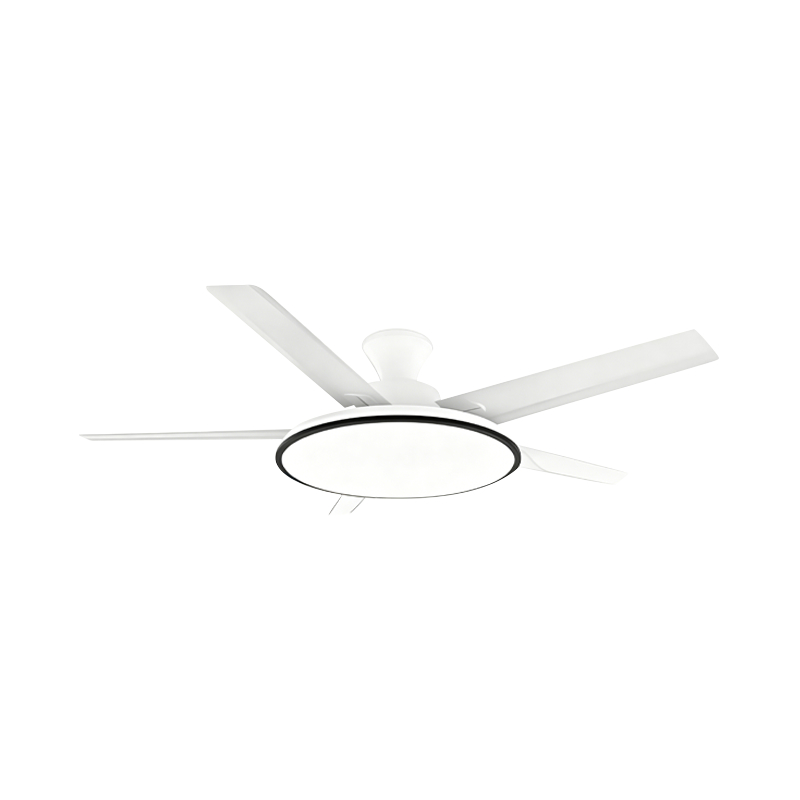 Bežná ventilátorová lampa Bežná ventilátorová lampa