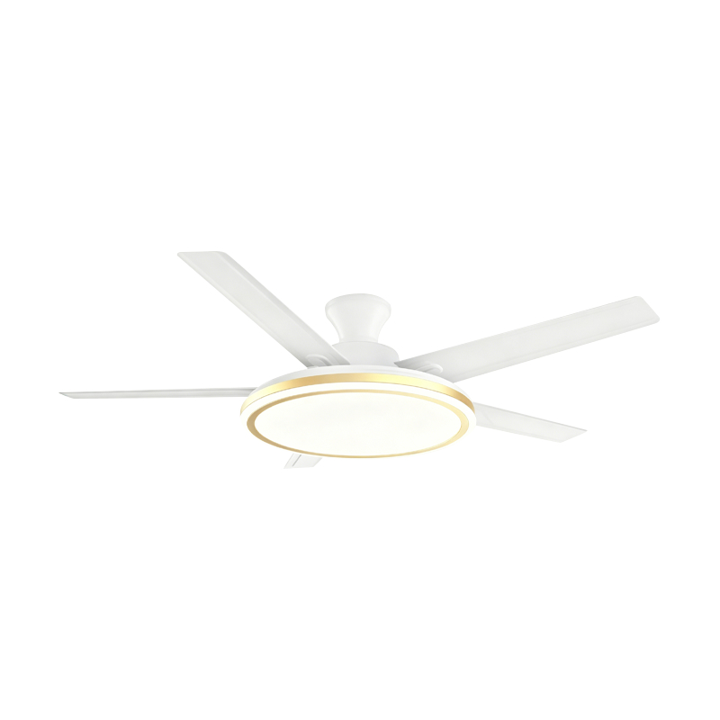 Bežná ventilátorová lampa Bežná ventilátorová lampa