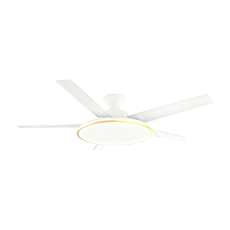 Bežná ventilátorová lampa Bežná ventilátorová lampa