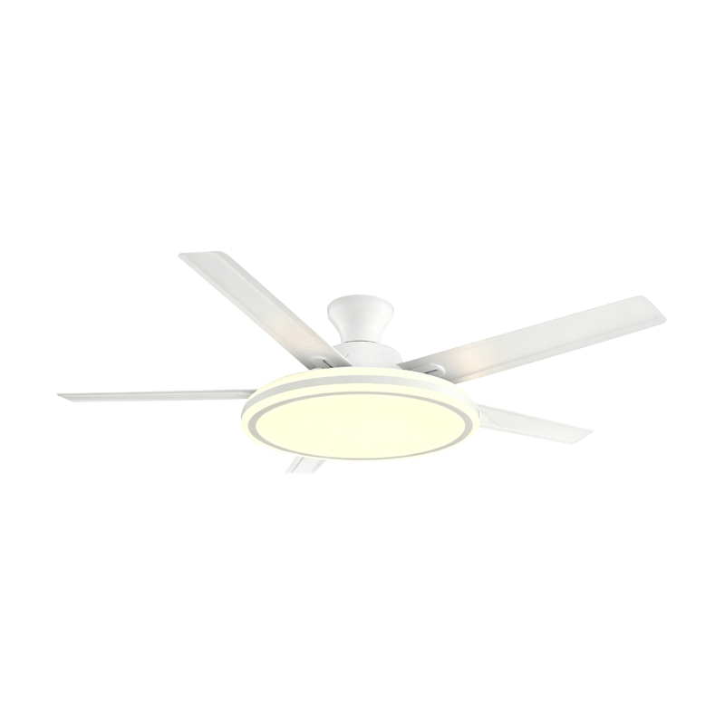 Bežná ventilátorová lampa Bežná ventilátorová lampa
