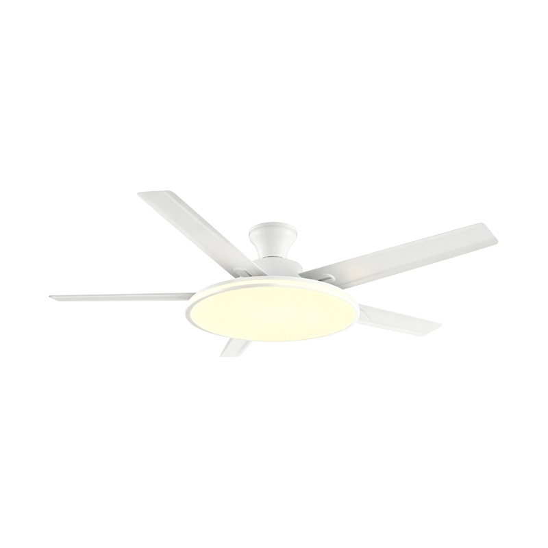 Bežná ventilátorová lampa Bežná ventilátorová lampa